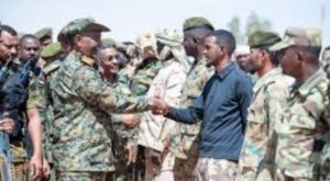 الجيش السوداني 