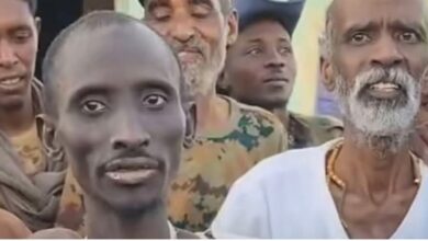 د.العليش الوسيلة