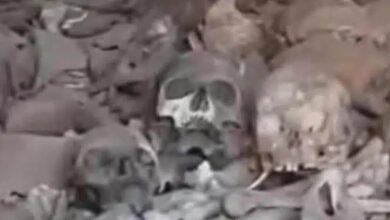 جماجم بشرية فى حاوية تتبع للدعم السريع