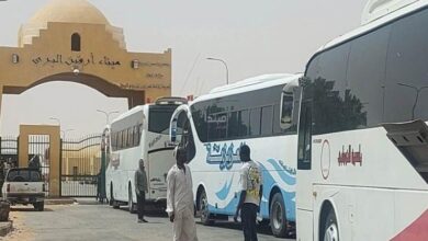 رحلات طوعية للسودانيين العائدين من مصر