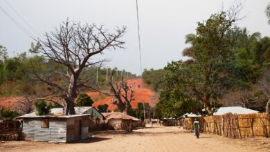 دارفور