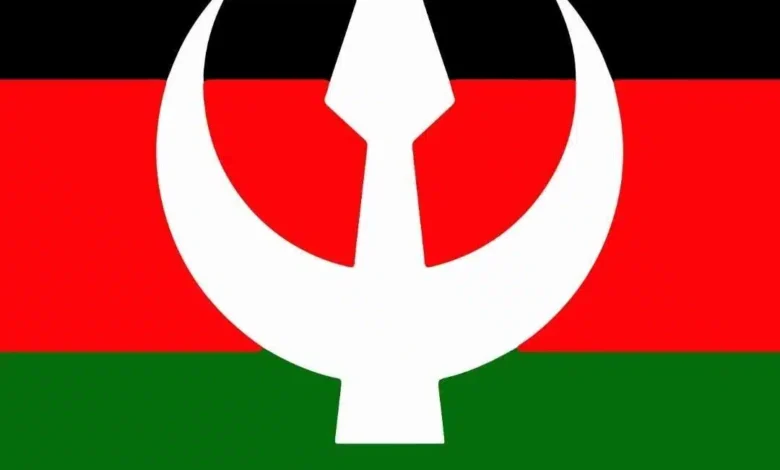 حزب الأمة القومي