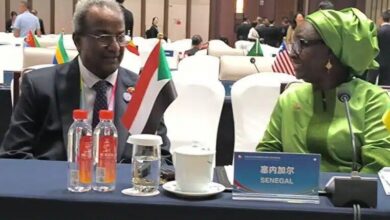 السودان : ، السفير حسين الأمين الفاضل