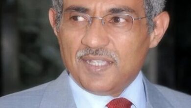 أمين حسن عبد اللطيف