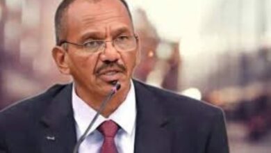 عمار العركـي