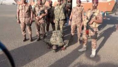 البرهان هو ساجد