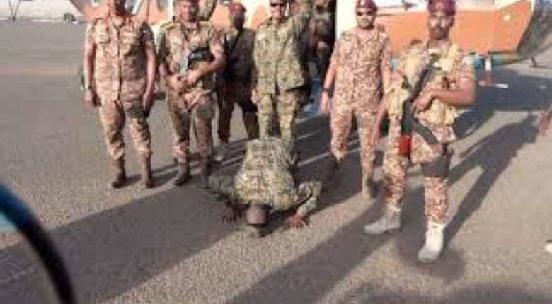 البرهان هو ساجد