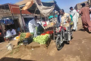 السوق المركزى شندى