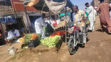 السوق المركزى شندى