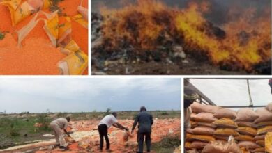 إبادة شحنة عدس وأرز تالف بولاية سودانية