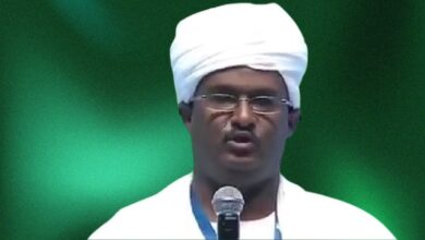 فارس النور