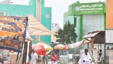 الفاشر