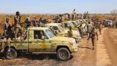 الجيش السوداني
