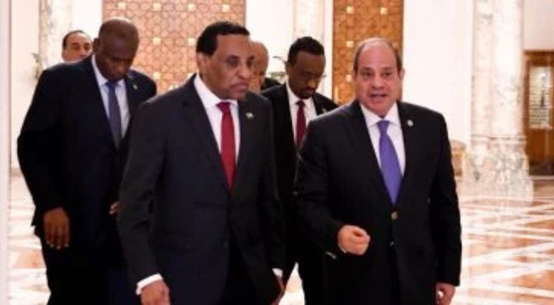 الرئيس المصرى يستقبل رئيس الوزراء السودانى كامل إدريس