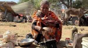 معاناة النازحين من مخيم زمزم (مواقع التواصل)