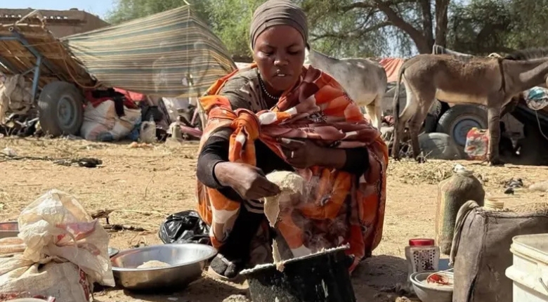 معاناة النازحين من مخيم زمزم (مواقع التواصل)