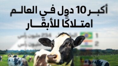 أكبر 10 دول في العالم امتلاكًا لثروة الأبقار