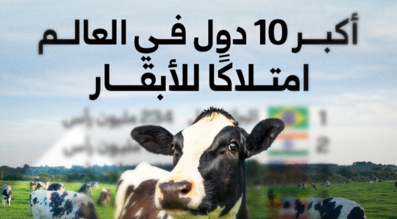 أكبر 10 دول في العالم امتلاكًا لثروة الأبقار