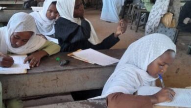 من بين 17 مليون طفل سوداني في سن الدراسة لم يعد سوى 3 ملايين إلى صفوفهم (موقع أخبار السودان)