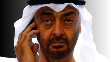 محمد بن زايد